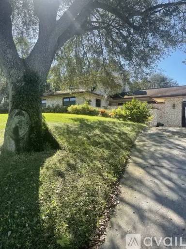 Main picture of 54 Regal Ct