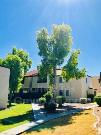 Main picture of Shadow Bend