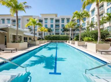 Main picture of CITY PALMS