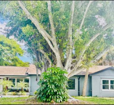 Main picture of 857 Banyan Dr