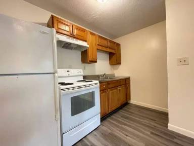 Main picture of Morning Star