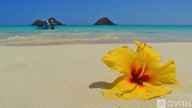 Main picture of 214 Kailua Rd