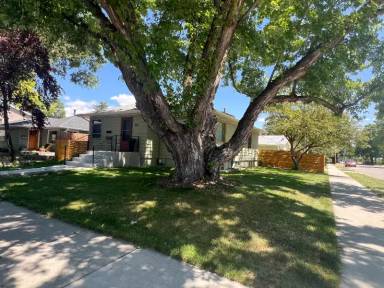 Main picture of 622 S 15th Ave