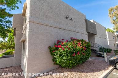 Main picture of Paradise Park Condominiums