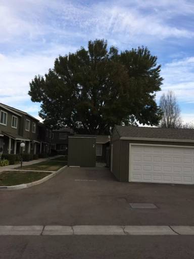 Main picture of 515 Peerless Way