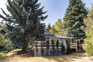 Main picture of 2164 Three Kings Ct