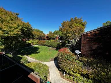Main picture of 1445 Latour Ln