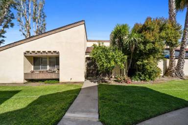 Main picture of 31461 Sundance Dr