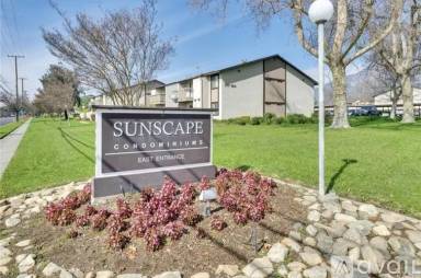 Main picture of Sunscape Apartments