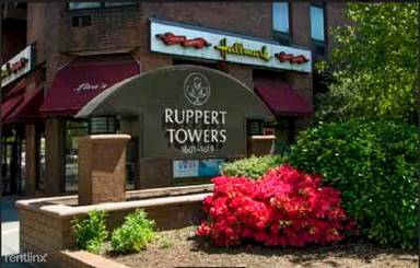 Main picture of Ruppert Tower 1