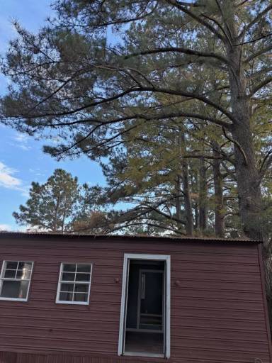 Main picture of 1014 Trice St