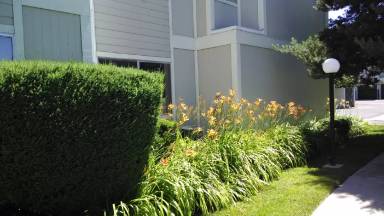 Main picture of 2577 Sycamore Glen Dr