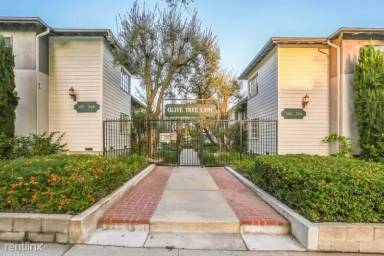 Main picture of Olive Tree Lane Apartments