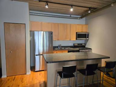 Main picture of 1430 S Michigan Ave