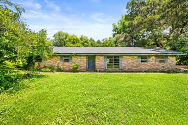 Main picture of 1021 Lutz Loop