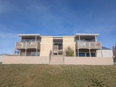 Main picture of 1052 Healy St