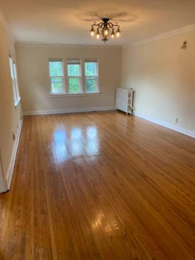 Main picture of 542 Lincoln Ave