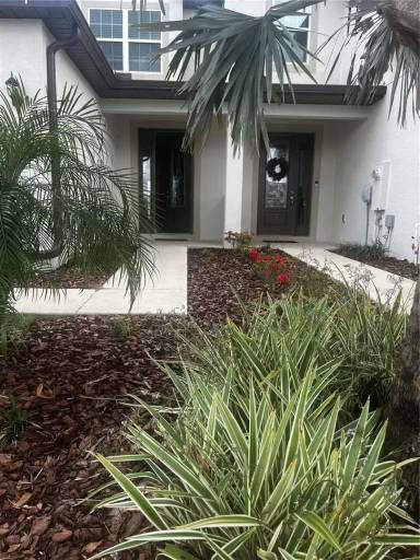 Main picture of 11232 Cay Spruce Way