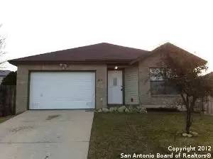 Main picture of 8014 Emerald Elm
