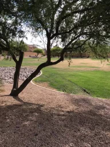 Main picture of 2348 E Meadow Lark Way