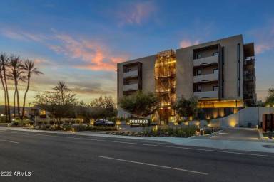 Main picture of Contour on Campbell