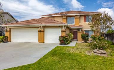 Main picture of 26388 Antonio Cir