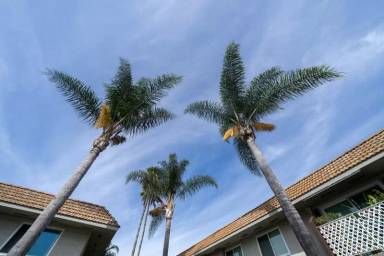 Main picture of Casa Antigua Apartment Homes