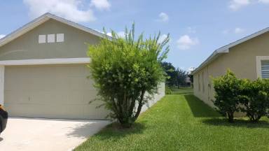 Main picture of 324 Dahoon Holly Dr