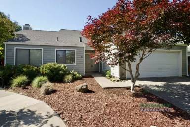 Main picture of 41 Pine Tree Ct