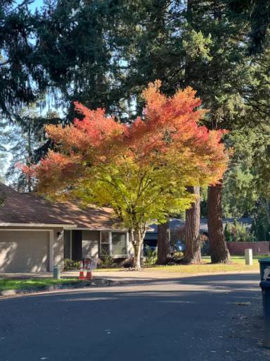 Main picture of 9475 SW Siuslaw Ln