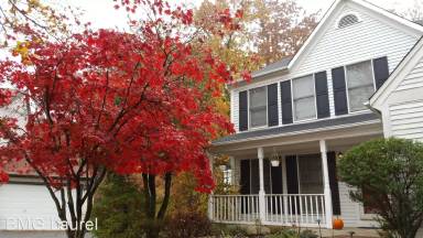 Main picture of 3136 Memory Ln