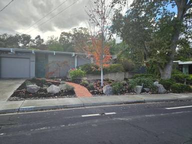 Main picture of 2645 San Carlos Dr