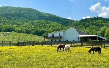 Main picture of 3440 North Fork Farms Rd
