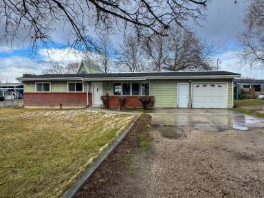 Main picture of Flamingo MHC