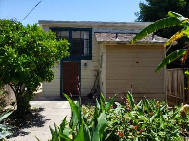 Main picture of 1924 Channing Way