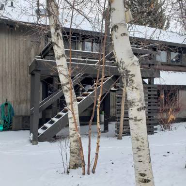 Main picture of North 40 Apartments