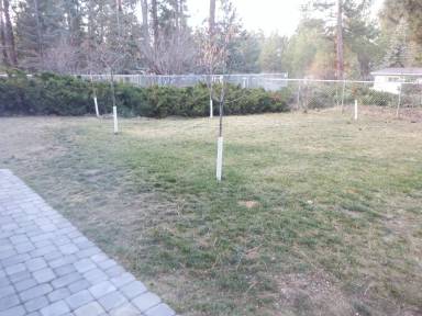 Main picture of 60948 Granite Dr