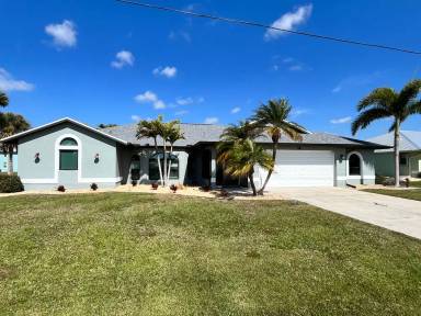 Main picture of 305 Yellow Elder