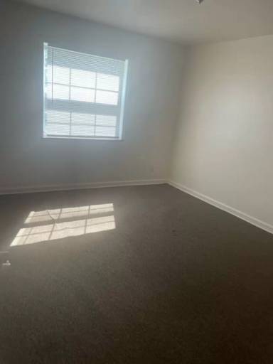 Main picture of 337 Mayfair Blvd