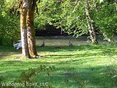 Main picture of Wandering Spirit RV Park