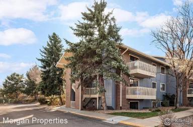 Main picture of Aspen Grove