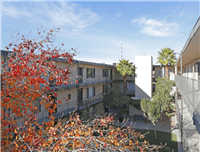 Main picture of The Point on Flamingo