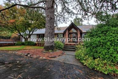 Main picture of 3412 S 10th Way