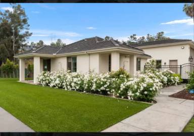 Main picture of 423 Paso del Norte