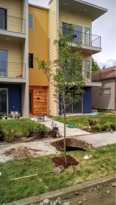 Main picture of 1828 W College Ave