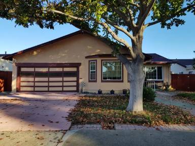 Main picture of 35014 Begonia St