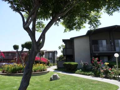 Main picture of 802 Coriander Dr