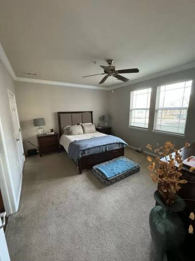 Main picture of 3436 Molly Cir
