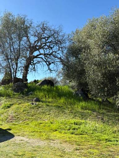 Main picture of Sierra Vista Way
