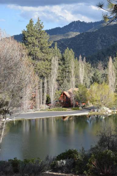 Main picture of 16013 Edgewood Way